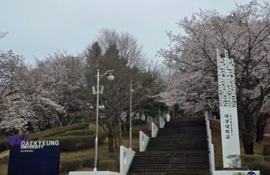 대경대학교 스포츠경기지도과는 전공 체험 캠퍼스 벚꽃축제…